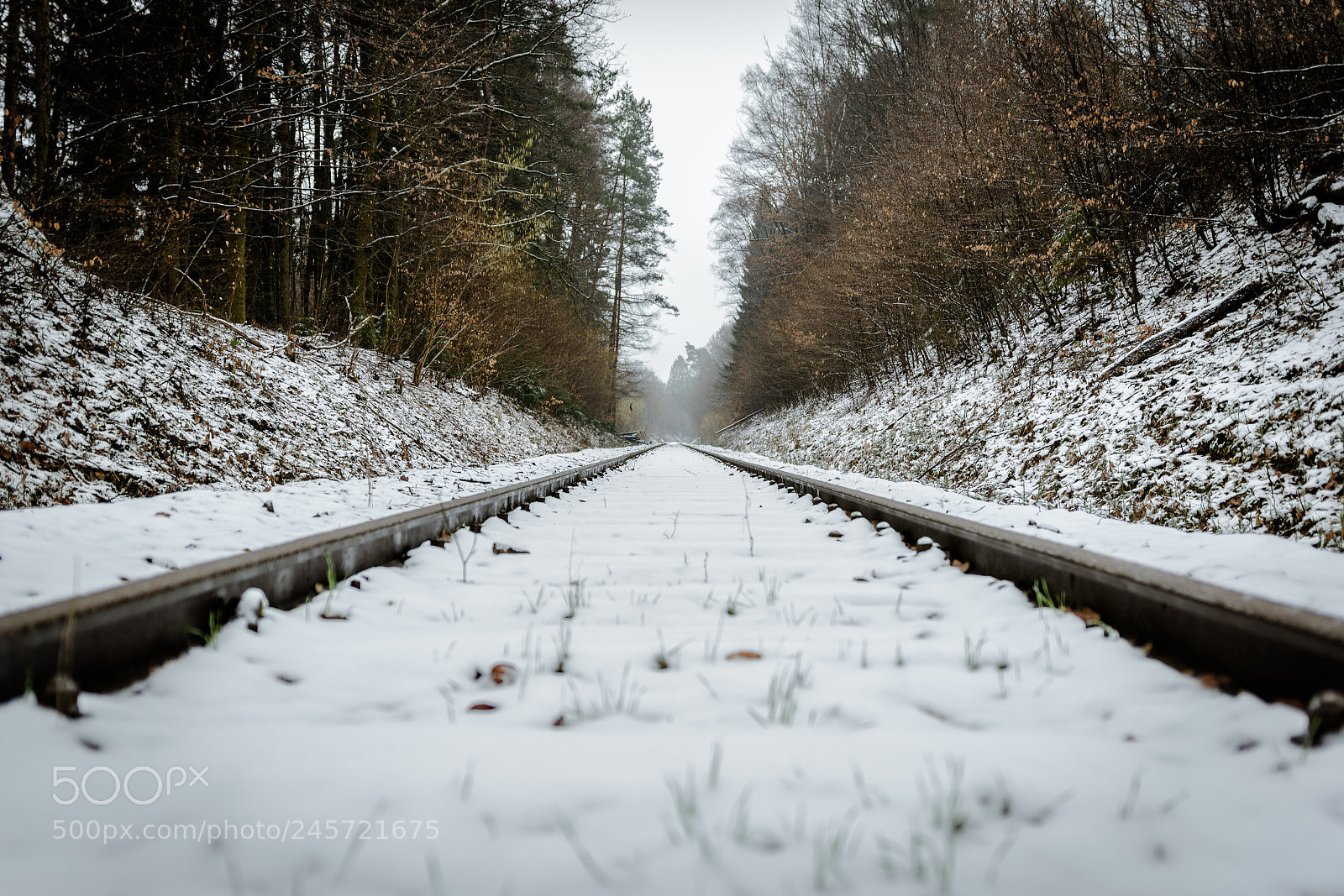 Nikon D500 sample photo. Railroad photography