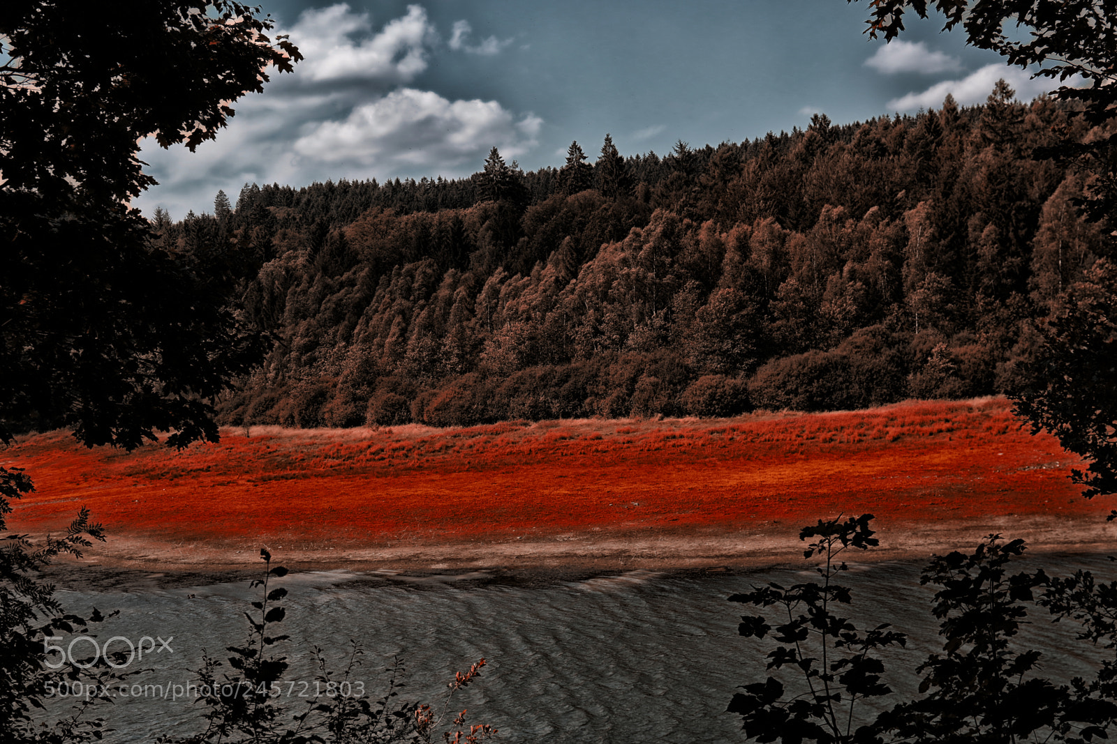 Canon EOS 7D Mark II sample photo. Redland photography