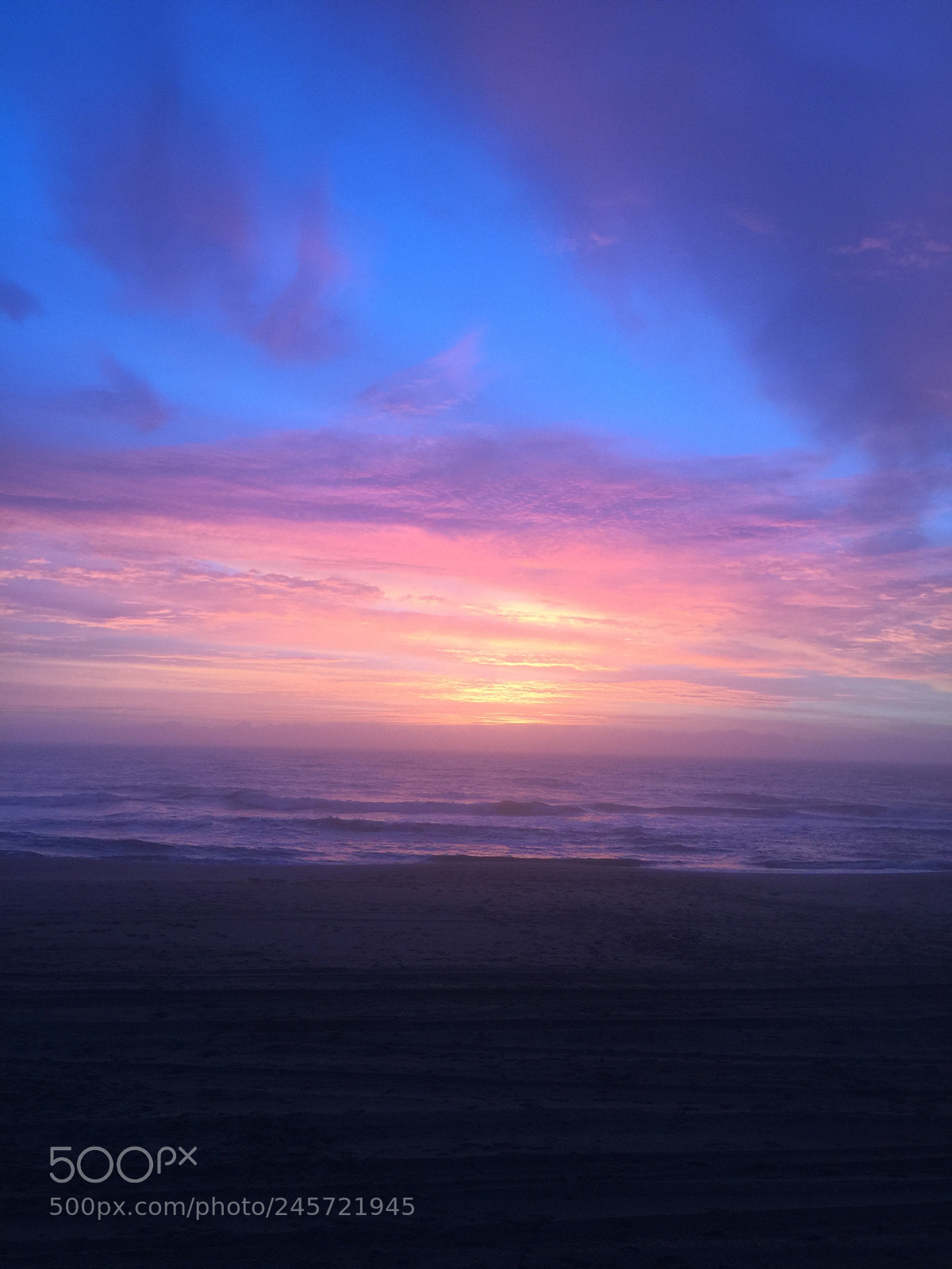 Apple iPhone 6 Plus sample photo. Color me beautiful photography