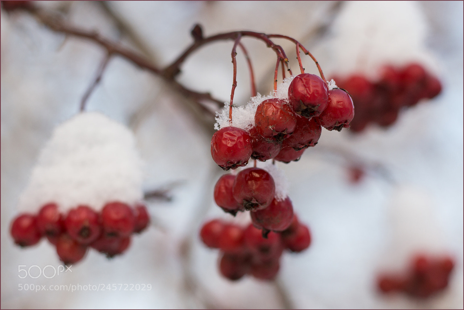 Canon EOS 700D (EOS Rebel T5i / EOS Kiss X7i) sample photo. Wintertime photography