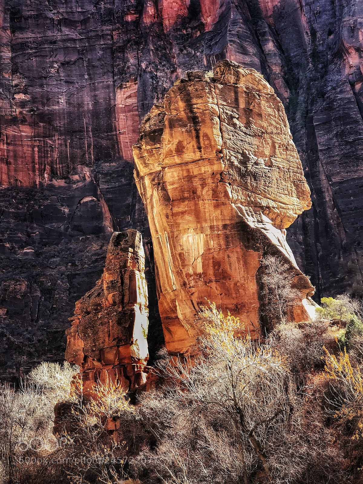 Apple iPhone X sample photo. Boulders, cliffs, and cottonwoods photography