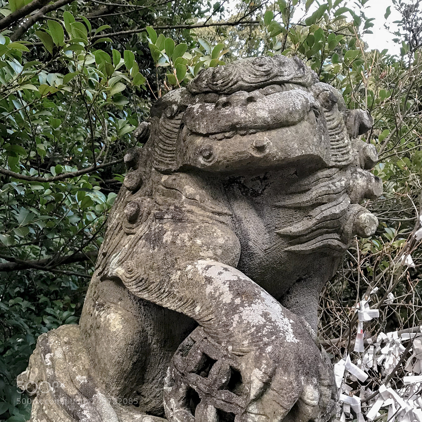 Apple iPhone 7 sample photo. 猫返し神社  #46 photography