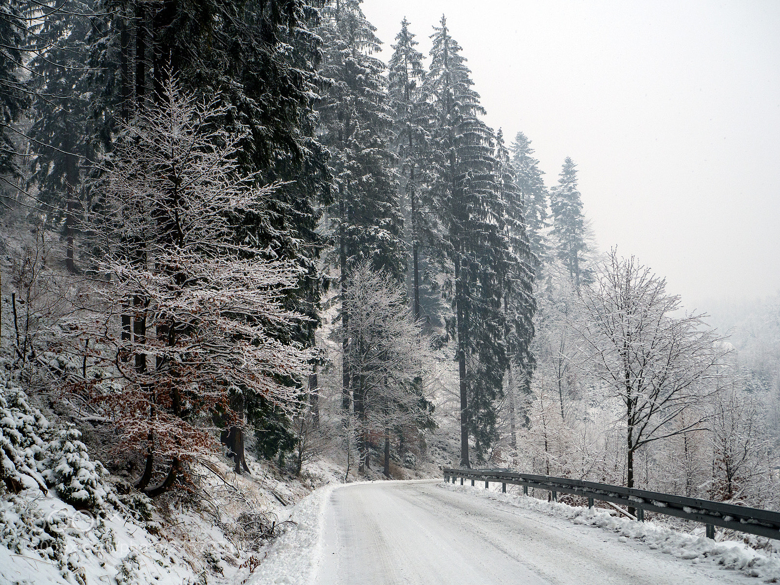 Olympus OM-D E-M10 sample photo. Classic winter photography