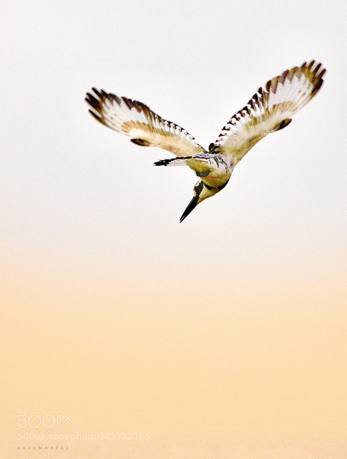 Nikon D610 sample photo. Full force ... photography
