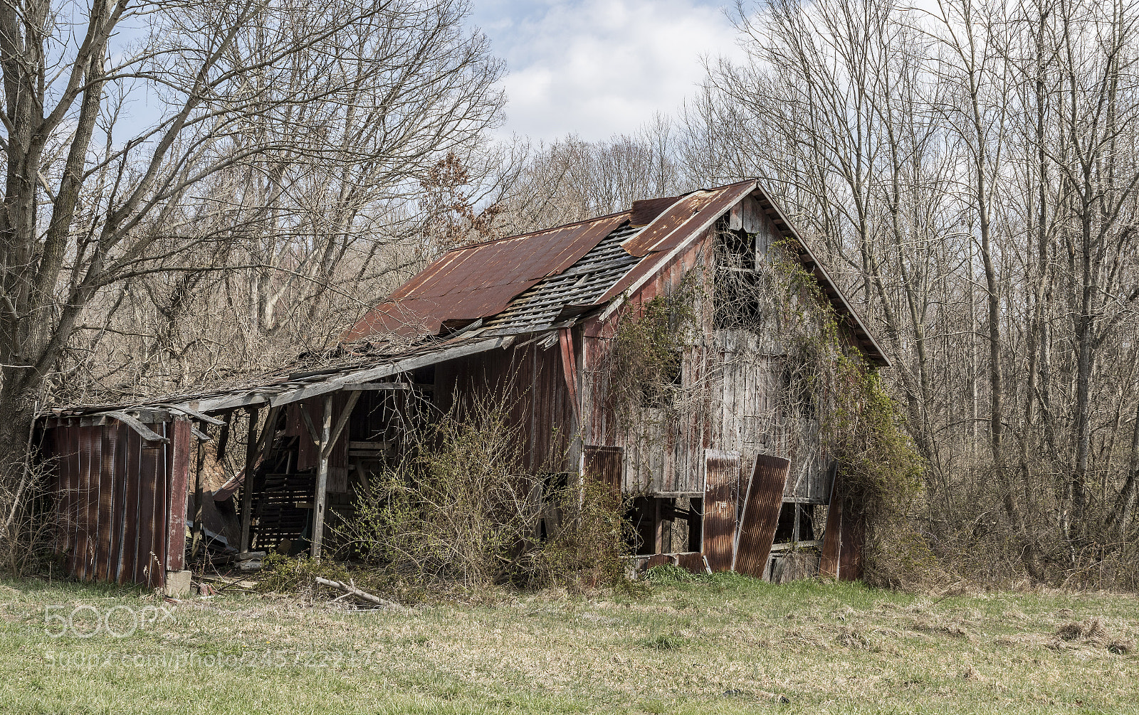 Canon EOS 7D Mark II sample photo. 66.jpg photography