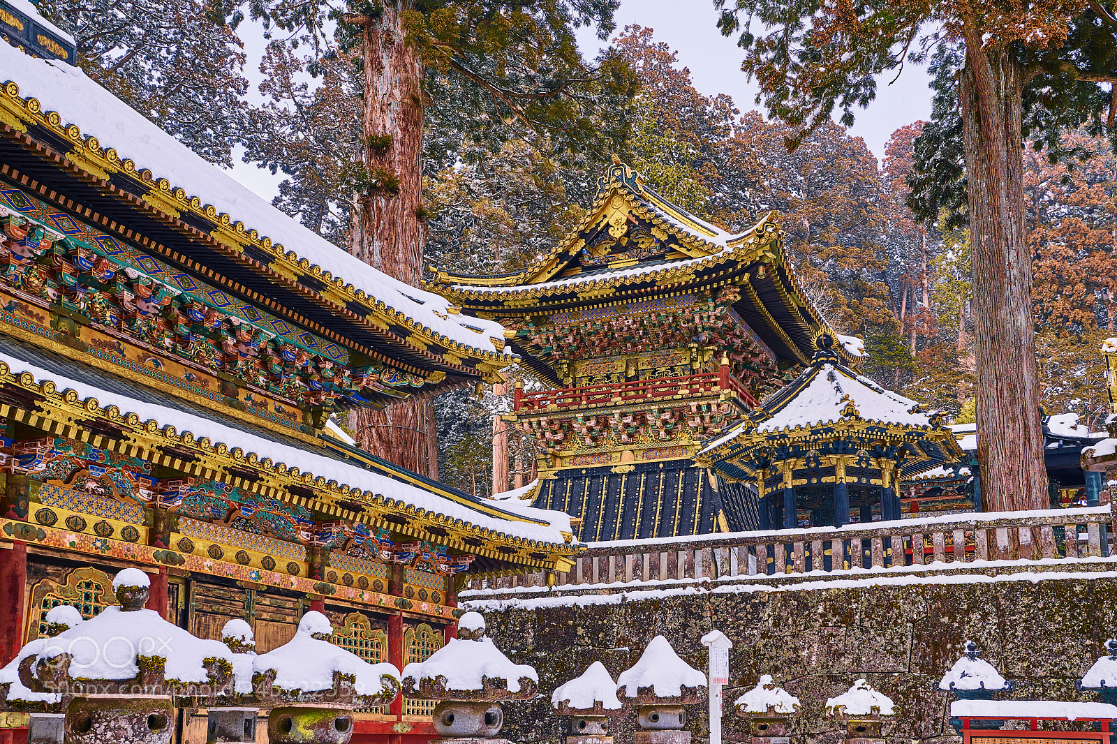 Nikon D850 sample photo. Polar color photography