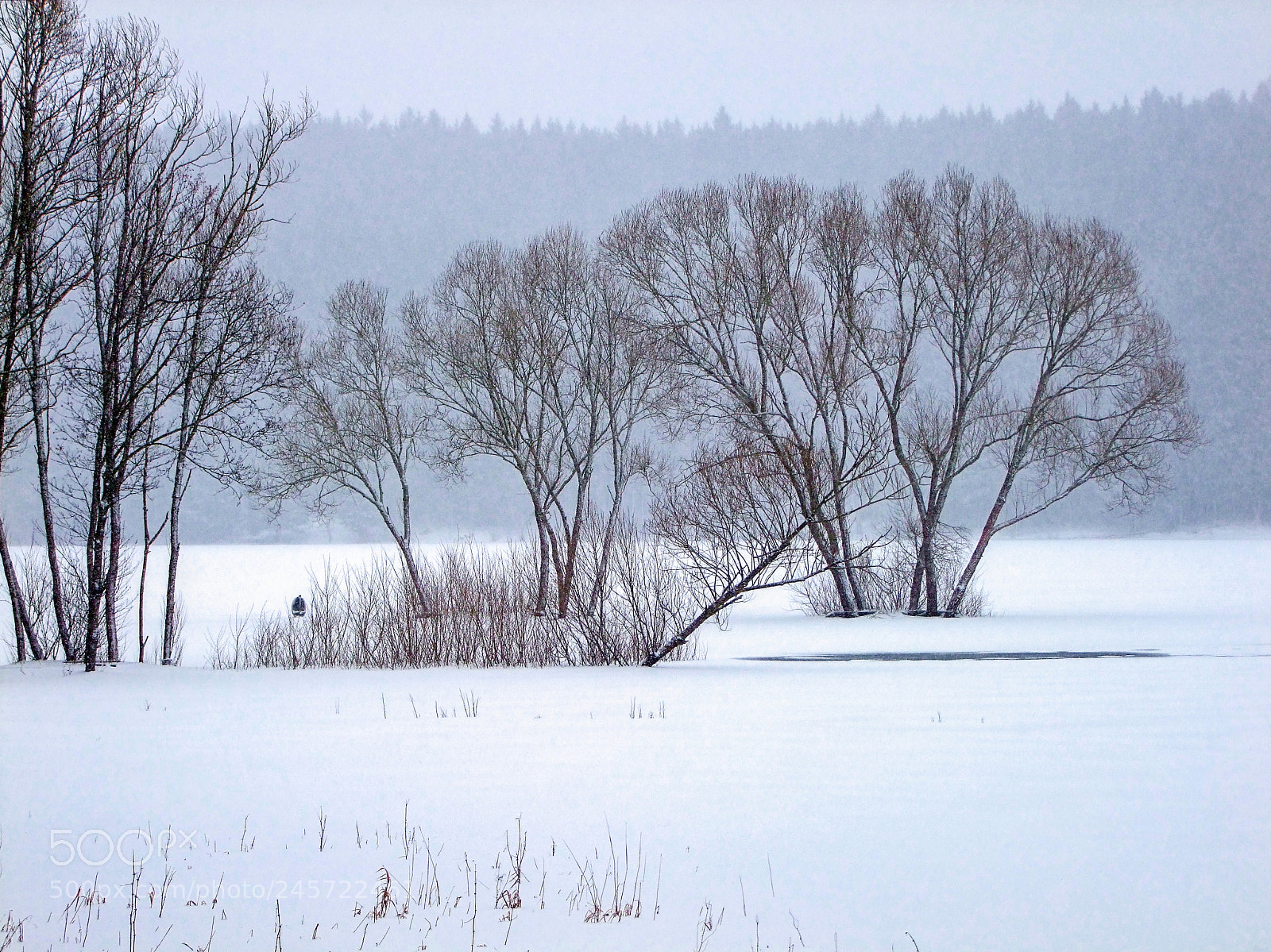 Fujifilm FinePix S100fs sample photo. Ice on the dam photography
