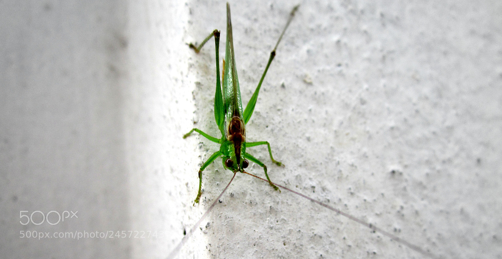 Canon PowerShot A2200 sample photo. Jump photography