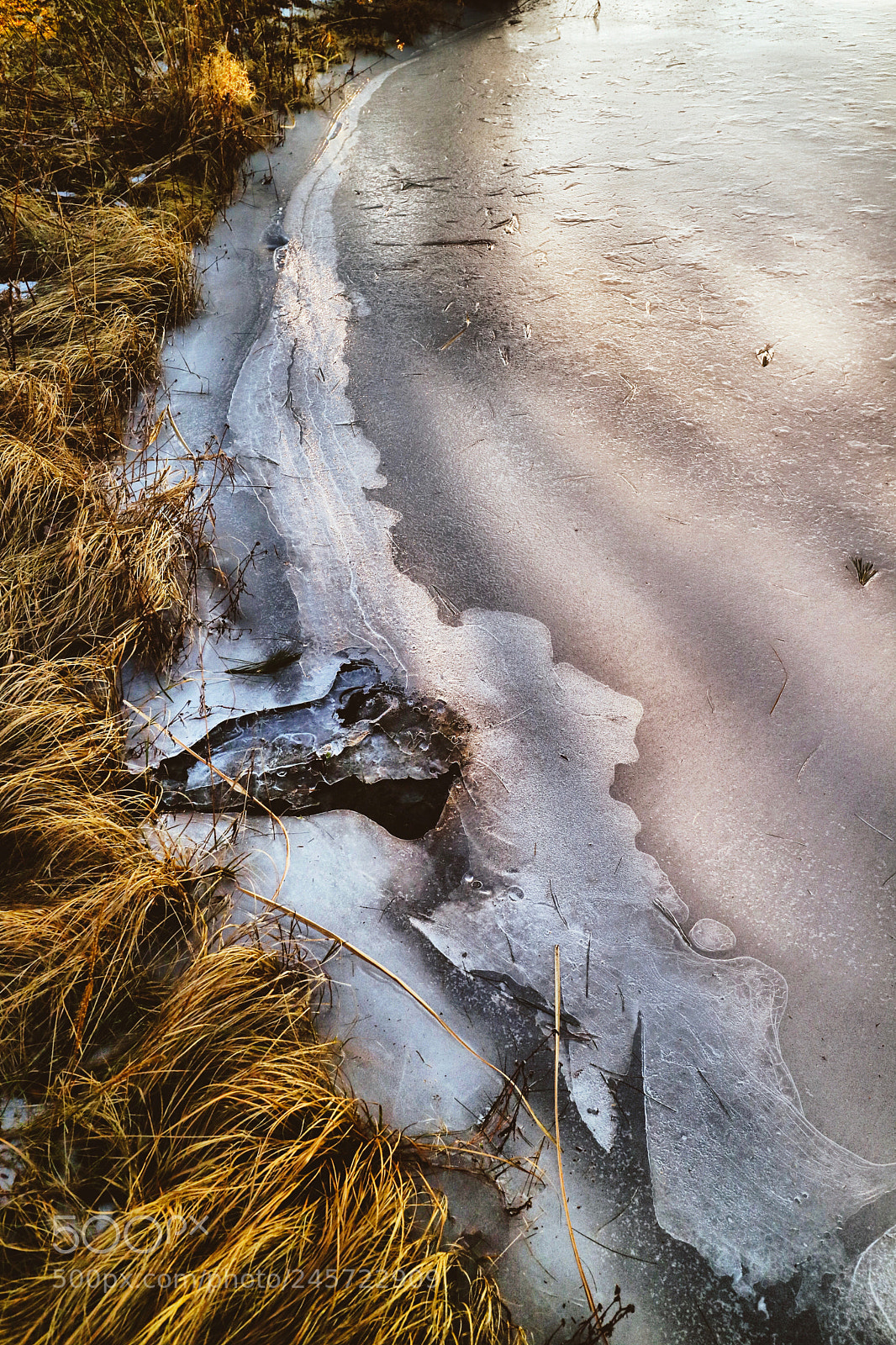 Canon EOS M3 sample photo. Untitled photography