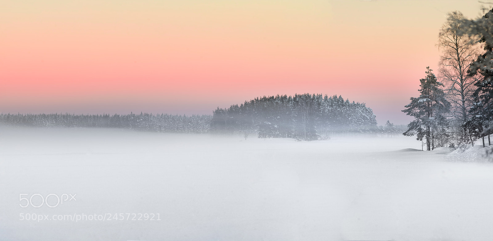 Nikon D810 sample photo. Panorama photography