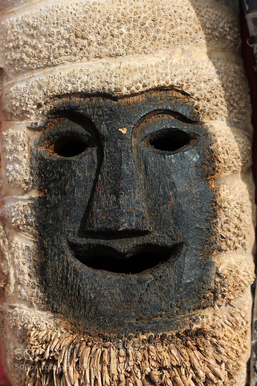Canon EOS 550D (EOS Rebel T2i / EOS Kiss X4) sample photo. Mask photography