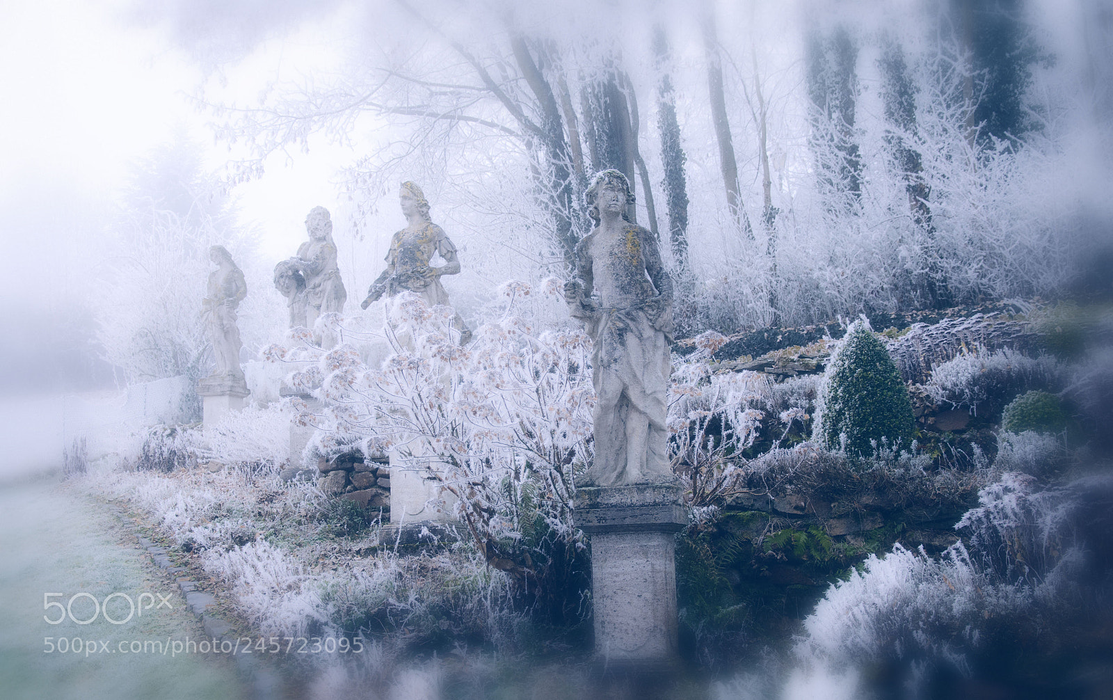 Nikon D300 sample photo. Viii winterbilder photography
