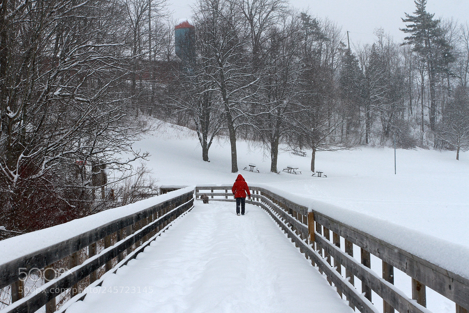Canon EOS 7D + Canon EF 17-40mm F4L USM sample photo. Snowing day photography