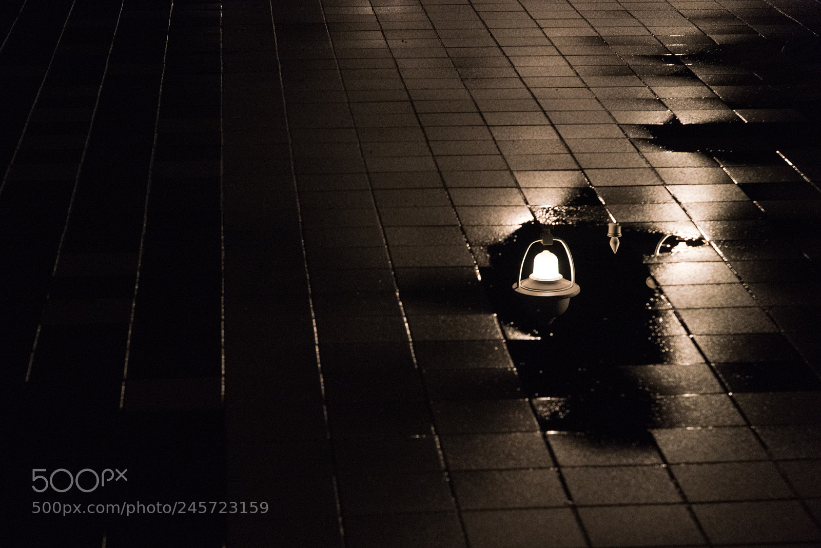 Nikon D810 sample photo. Silent night 4 photography