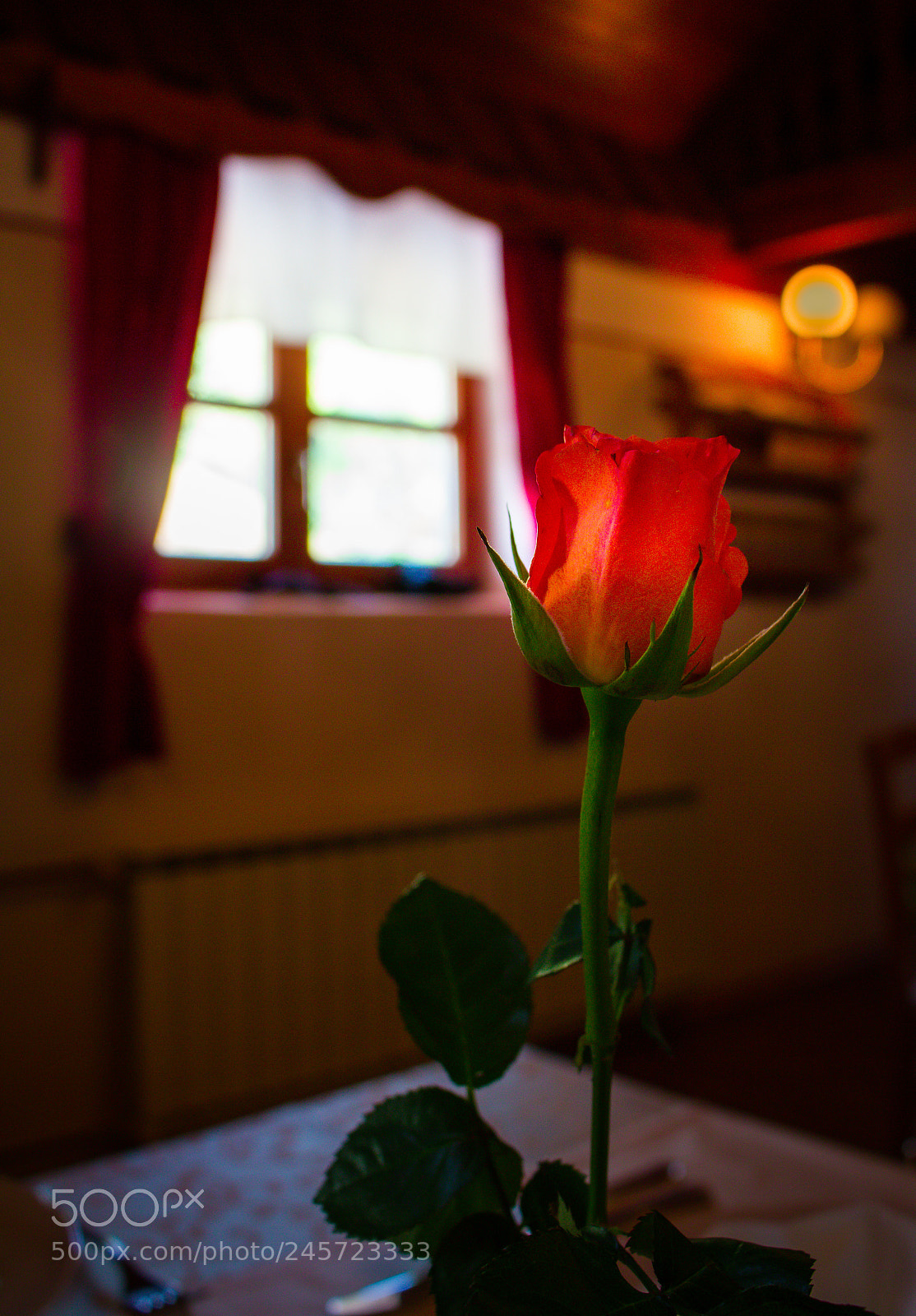 Canon EOS 700D (EOS Rebel T5i / EOS Kiss X7i) sample photo. Becoming a nice table... photography
