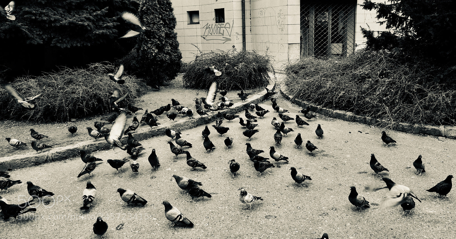 Leica V-Lux (Typ 114) sample photo. Meeting photography