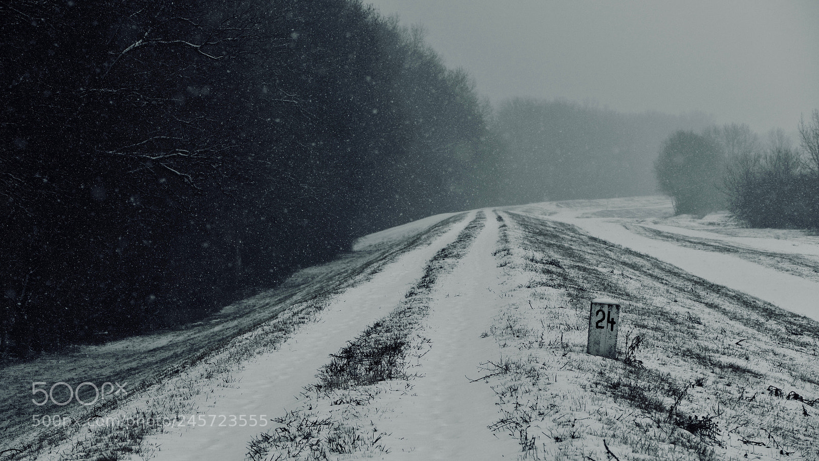 Leica V-Lux (Typ 114) sample photo. 24 and snowing photography