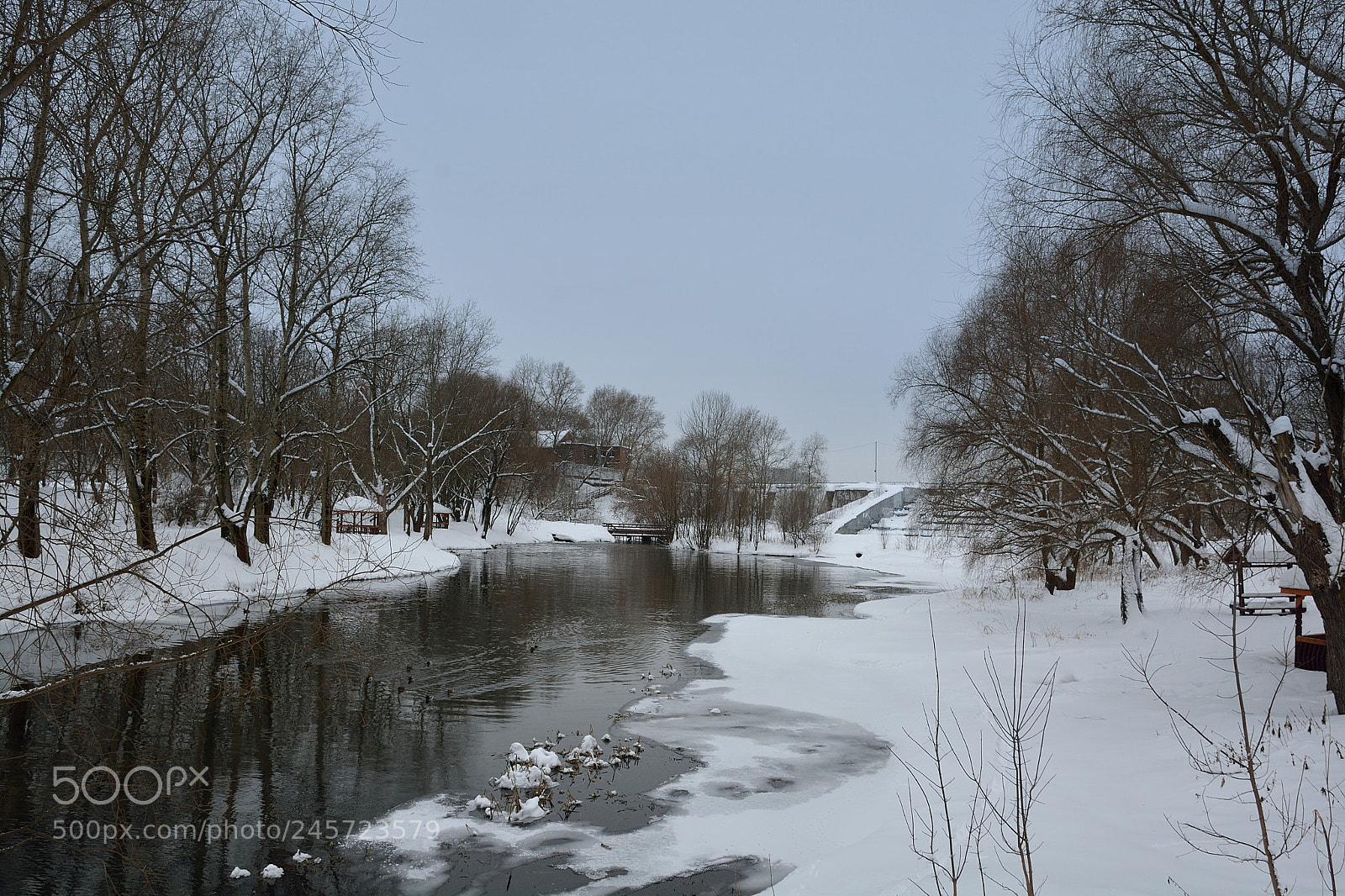 Nikon D7100 sample photo. Середина зимы photography