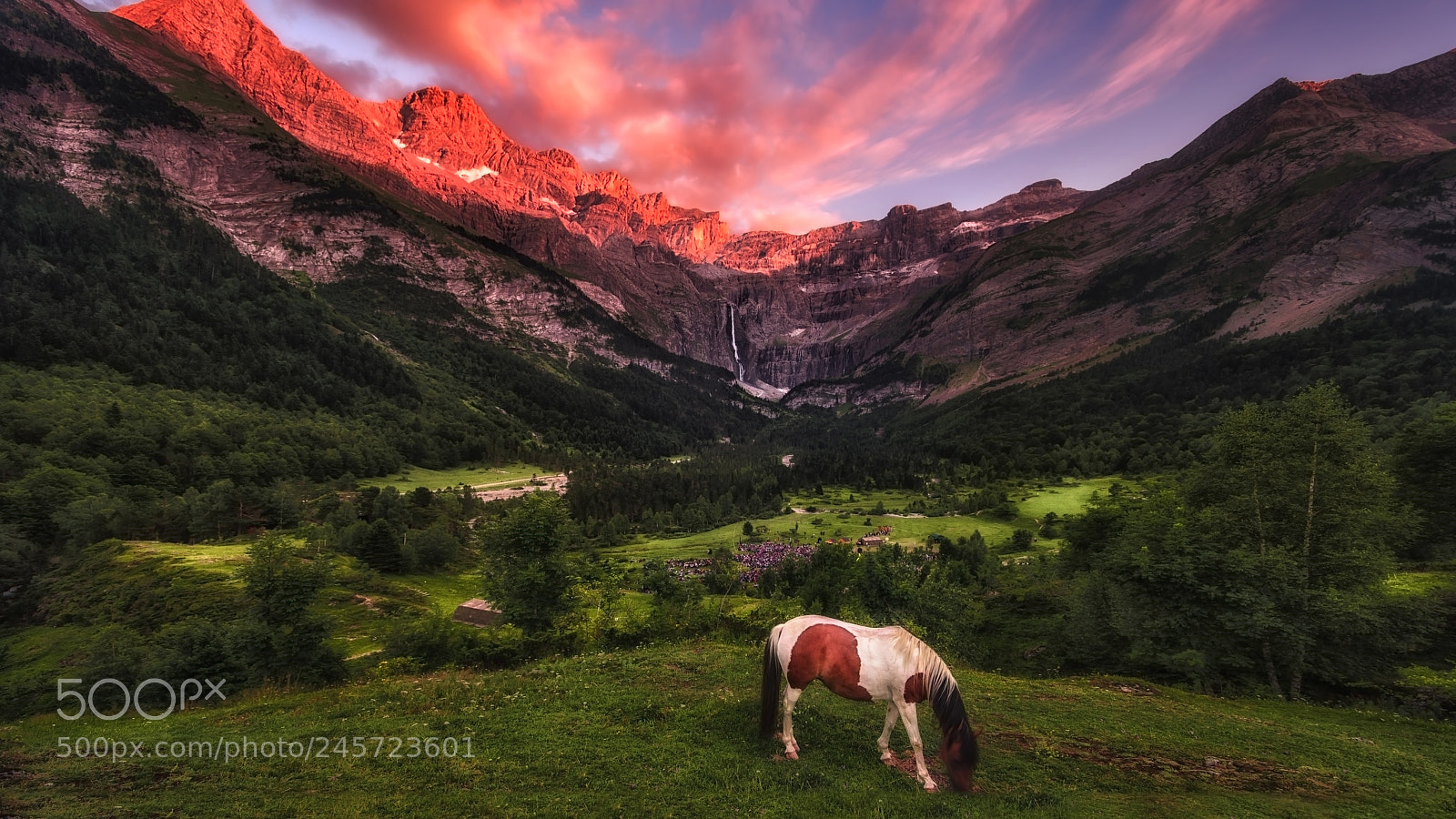 Nikon D610 sample photo. The horse in gavarnie photography