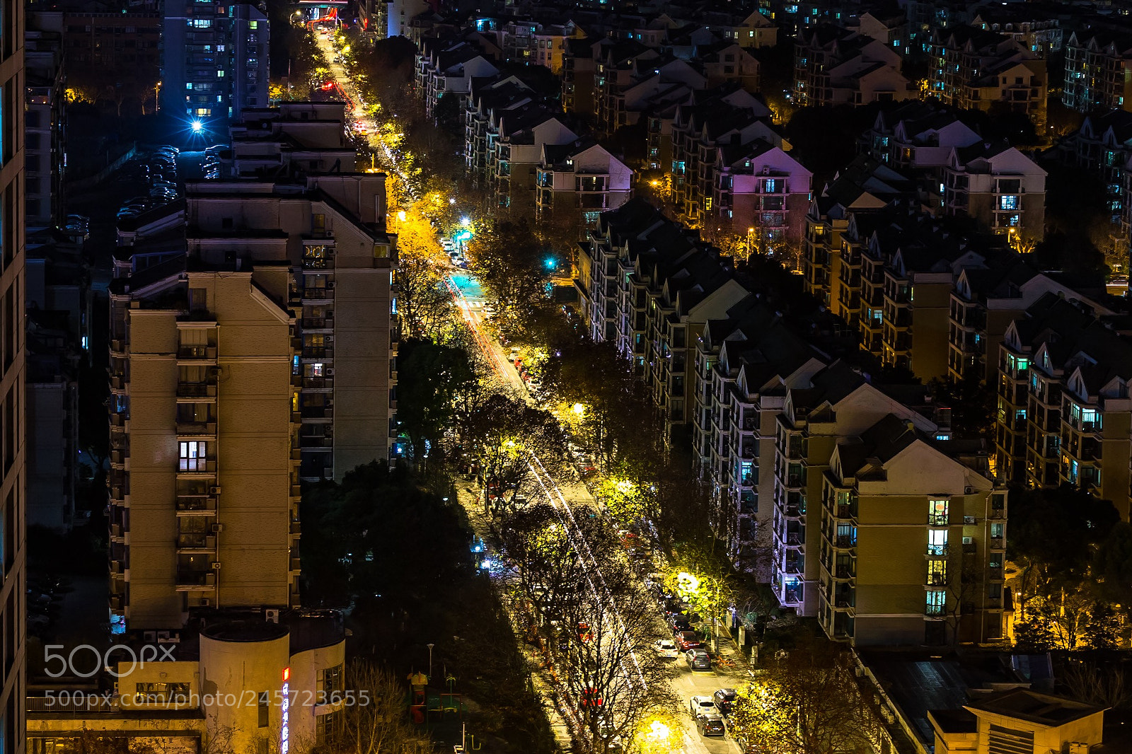Canon EOS-1D X sample photo. Night in nanjing photography