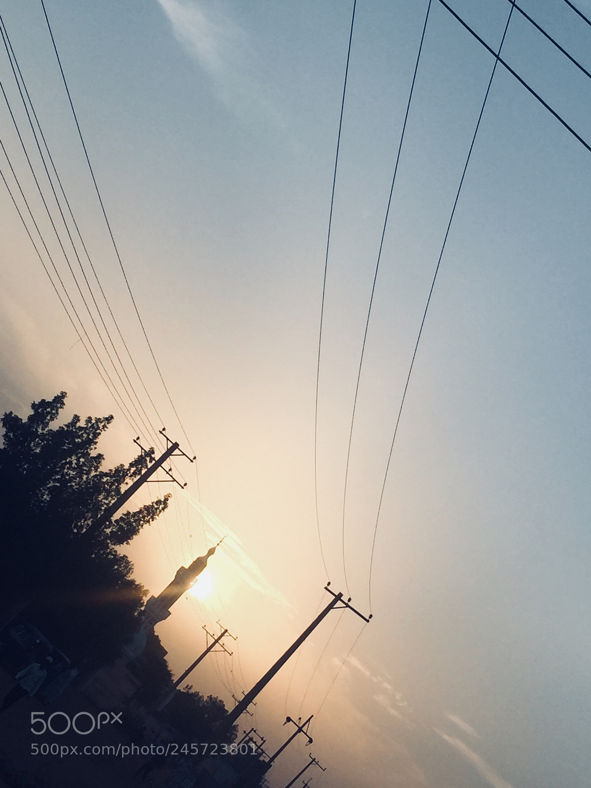 Apple iPhone 6 sample photo. Untitled photography