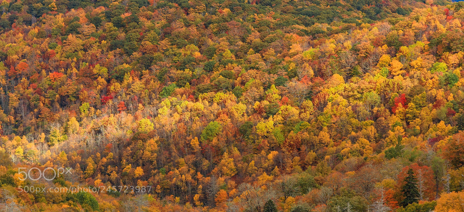 Canon EOS 60D sample photo. Blue ridge mountains photography