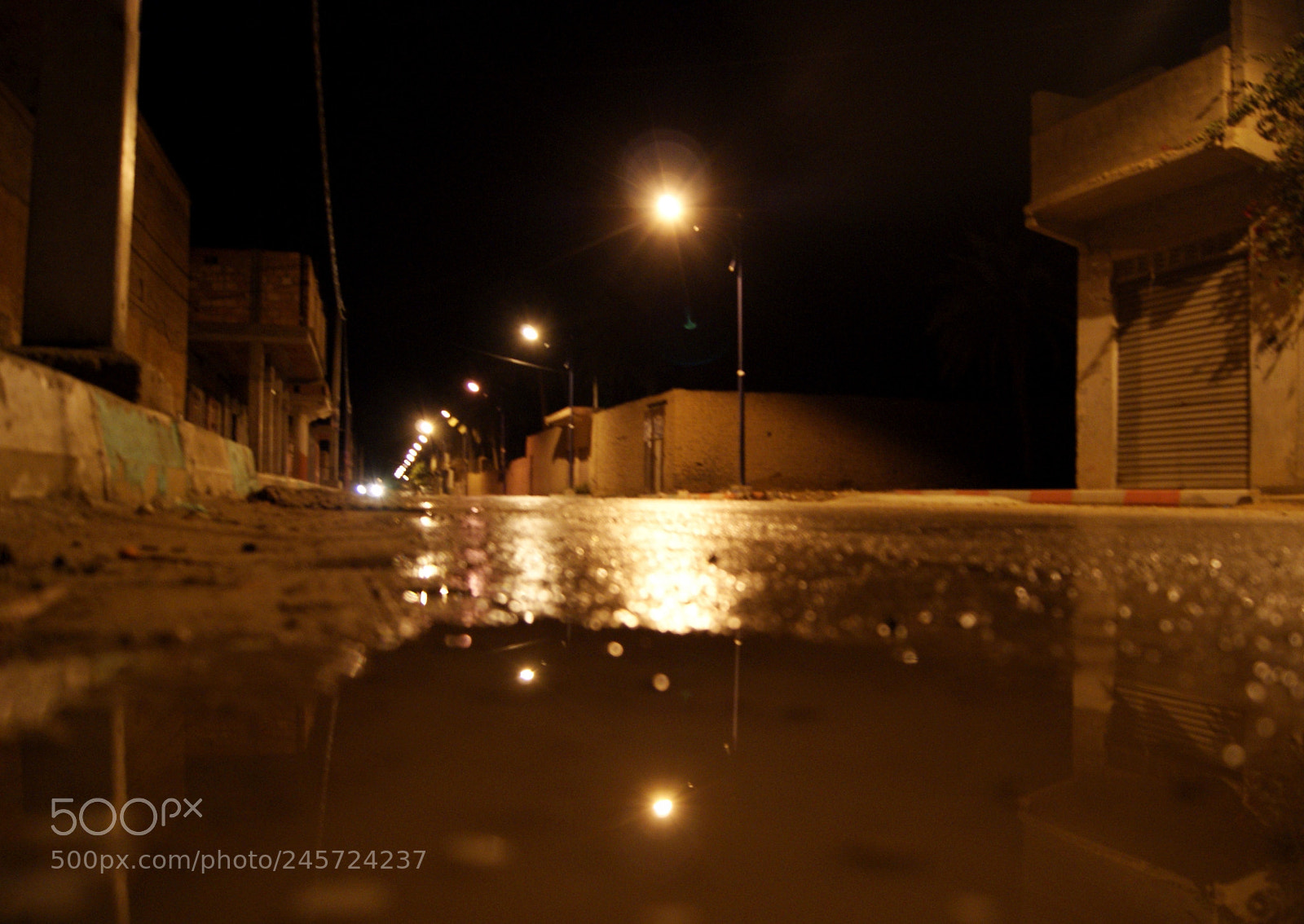 Sony Alpha DSLR-A230 sample photo. Untitled photography