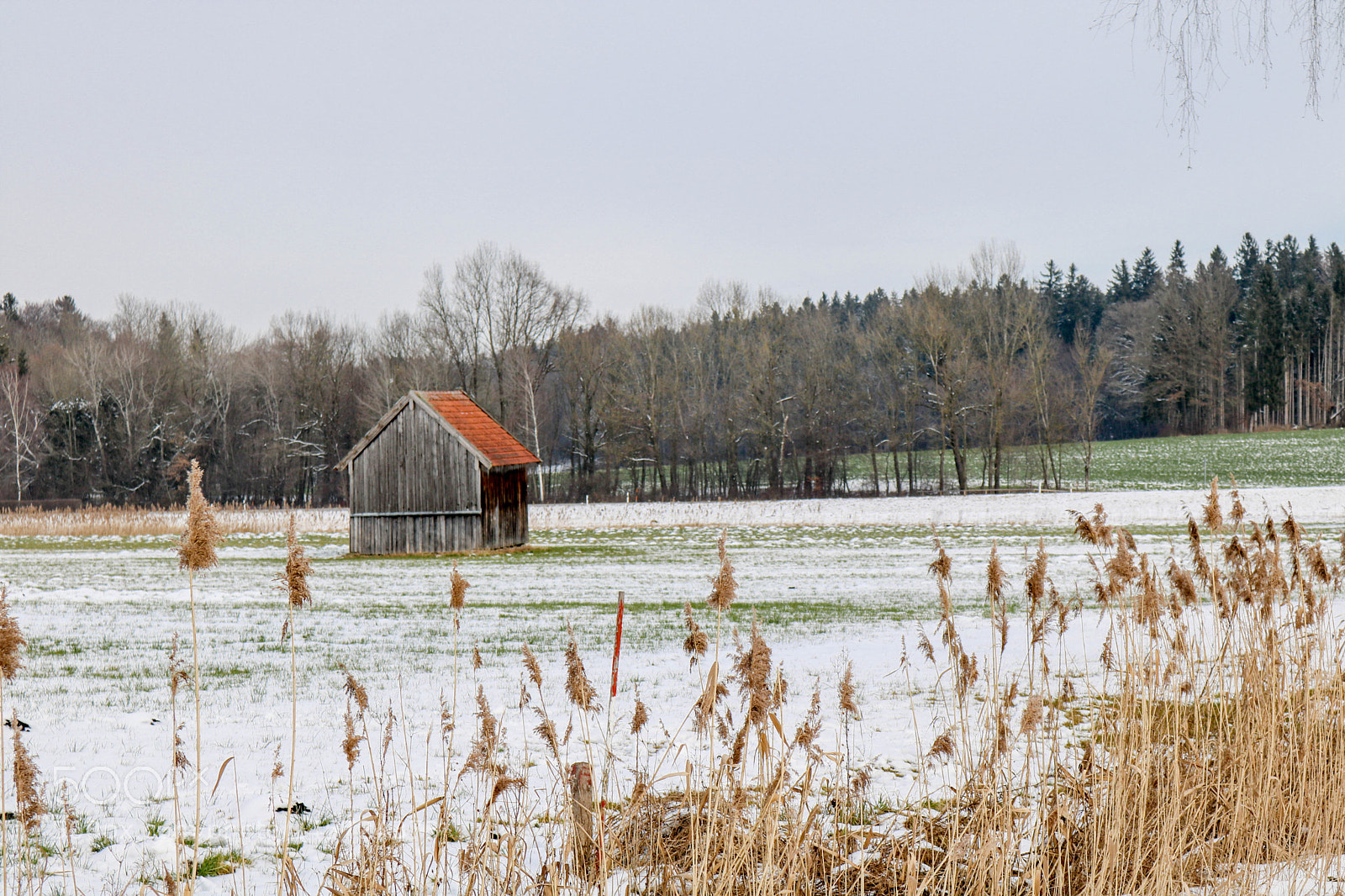 Canon EOS 750D (EOS Rebel T6i / EOS Kiss X8i) sample photo. Abtsdorfer see im rupertiwinkel... photography