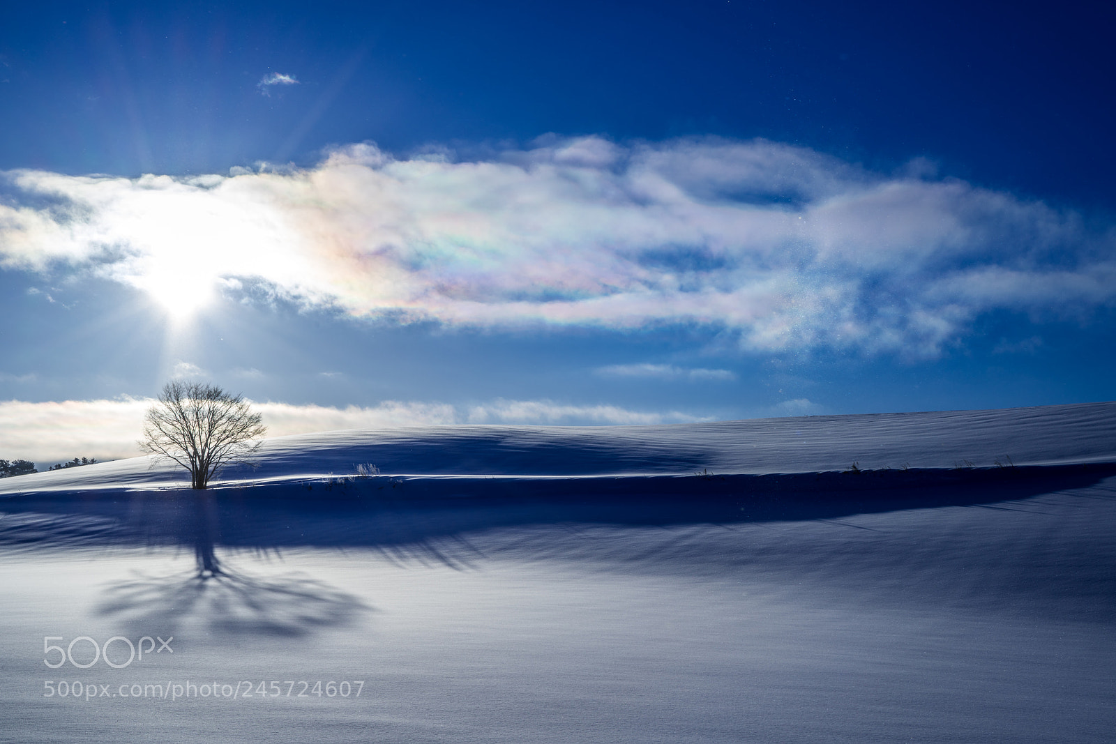 Sony a7R II sample photo. Rainbow cloud「彩雲　saiun」 photography