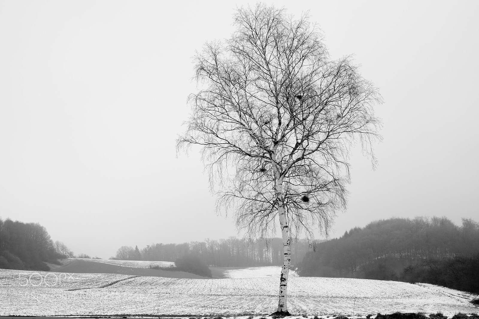 Fujifilm X-T1 sample photo. By the wayside photography