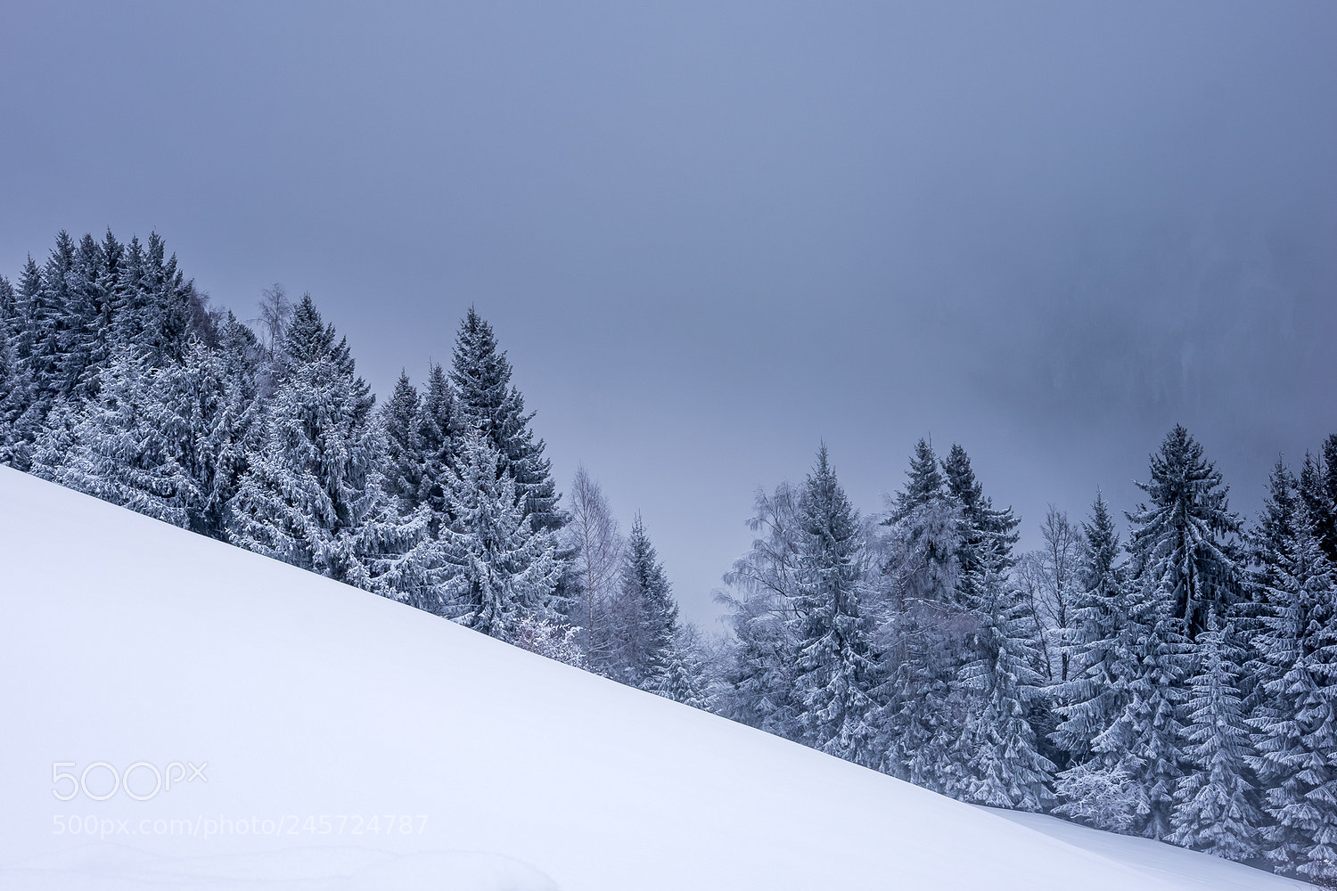 Fujifilm X-T1 sample photo. Winter photography