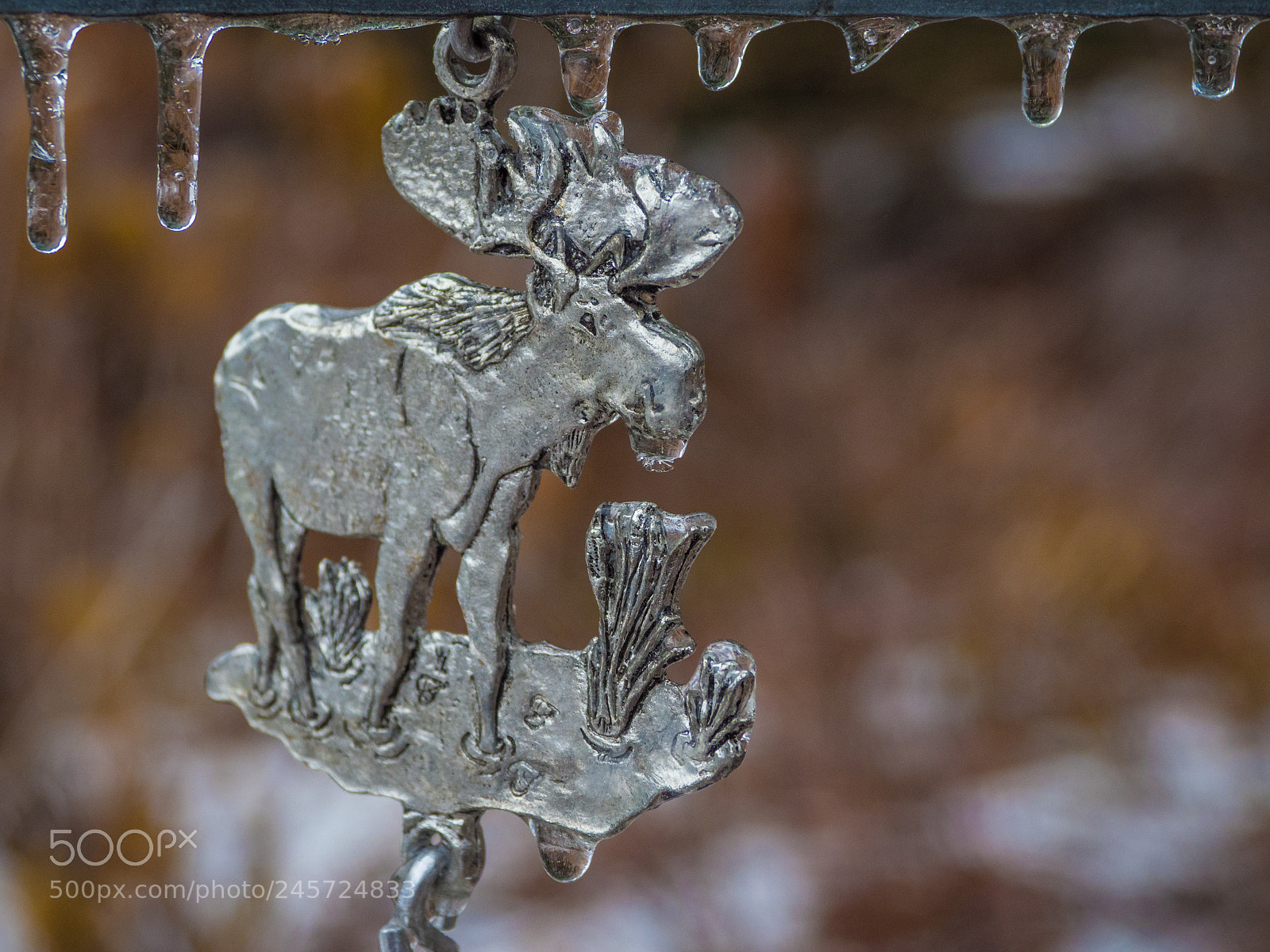 Olympus OM-D E-M1 Mark II sample photo. Frozen moose photography