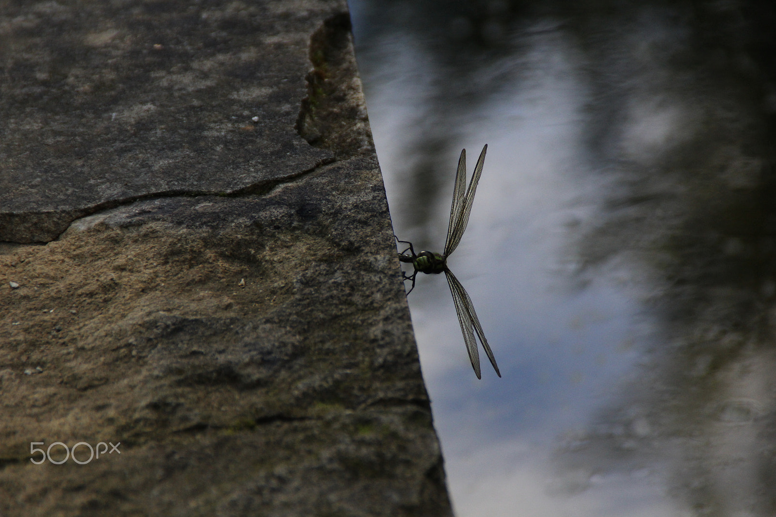 Canon EOS 60D sample photo. Img photography