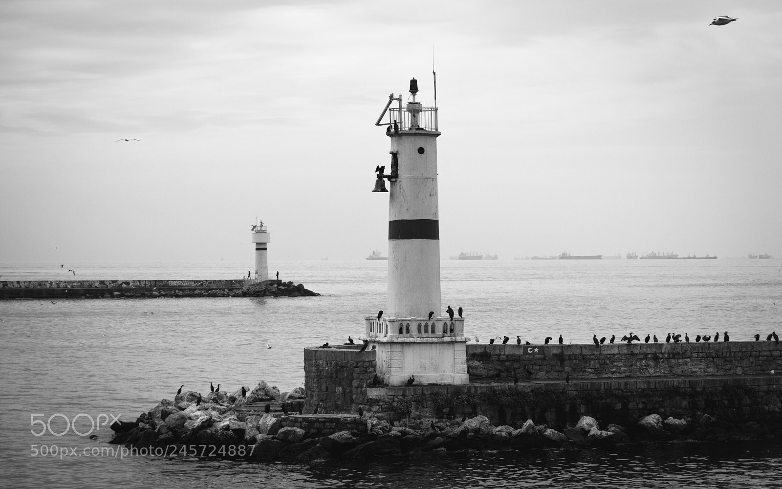 Nikon D5500 sample photo. The two towers photography