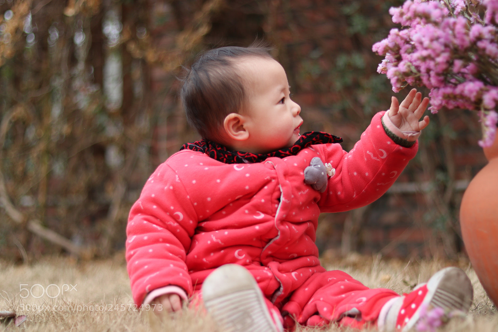 Canon EOS 80D + Canon EF 50mm F1.8 STM sample photo. Happy new year photography