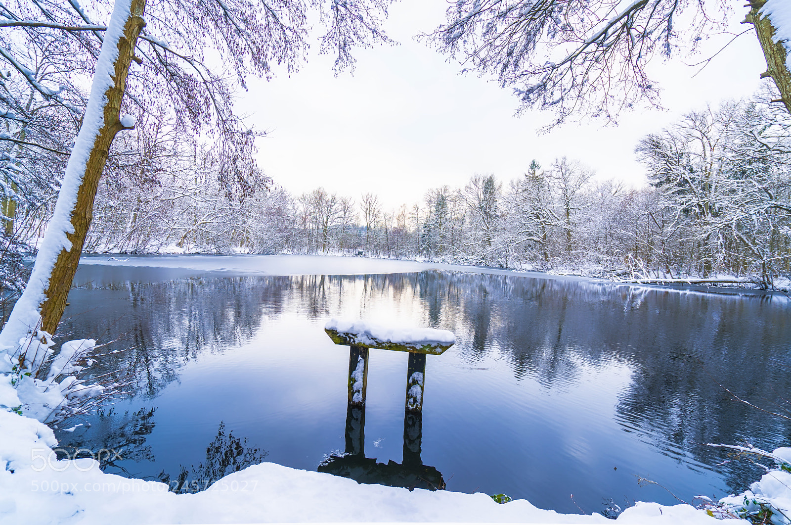 Sony a7R II sample photo. Winter in a lake photography