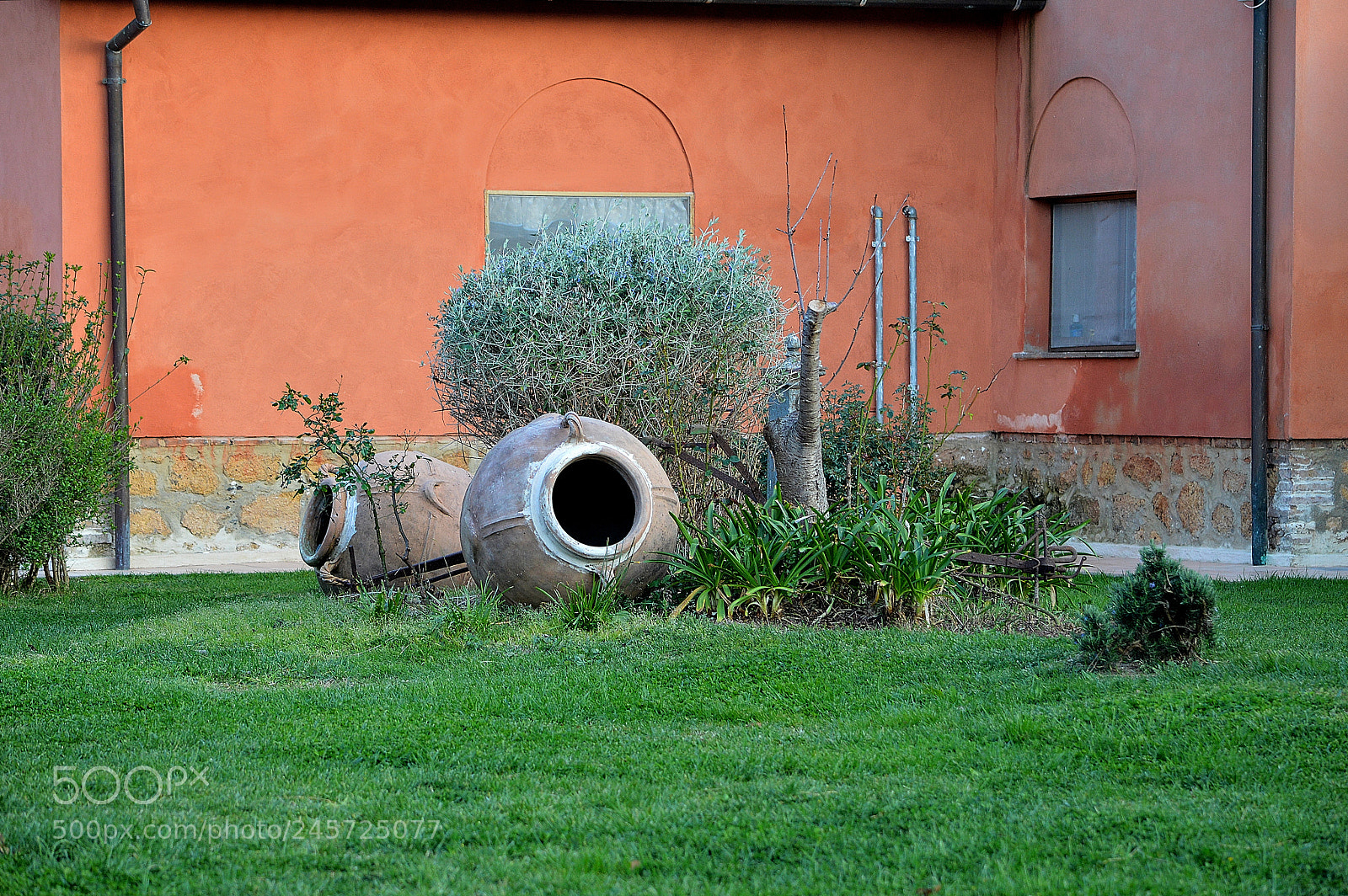 Nikon D3200 sample photo. Giare in the garden photography