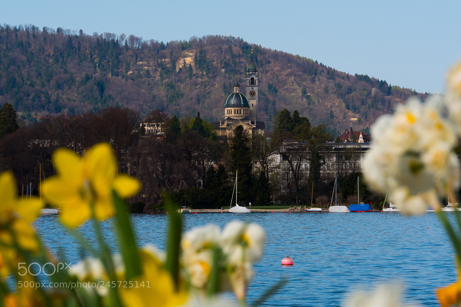 Panasonic Lumix DC-GH5 sample photo. Flowers at lake zurich photography