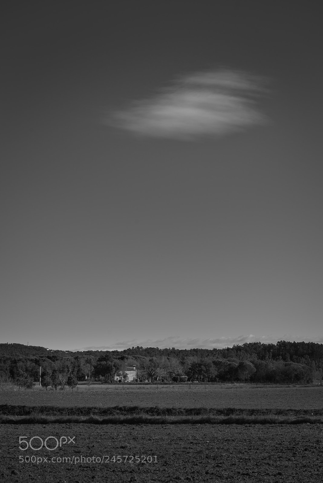 Nikon D800 sample photo. Cloud photography