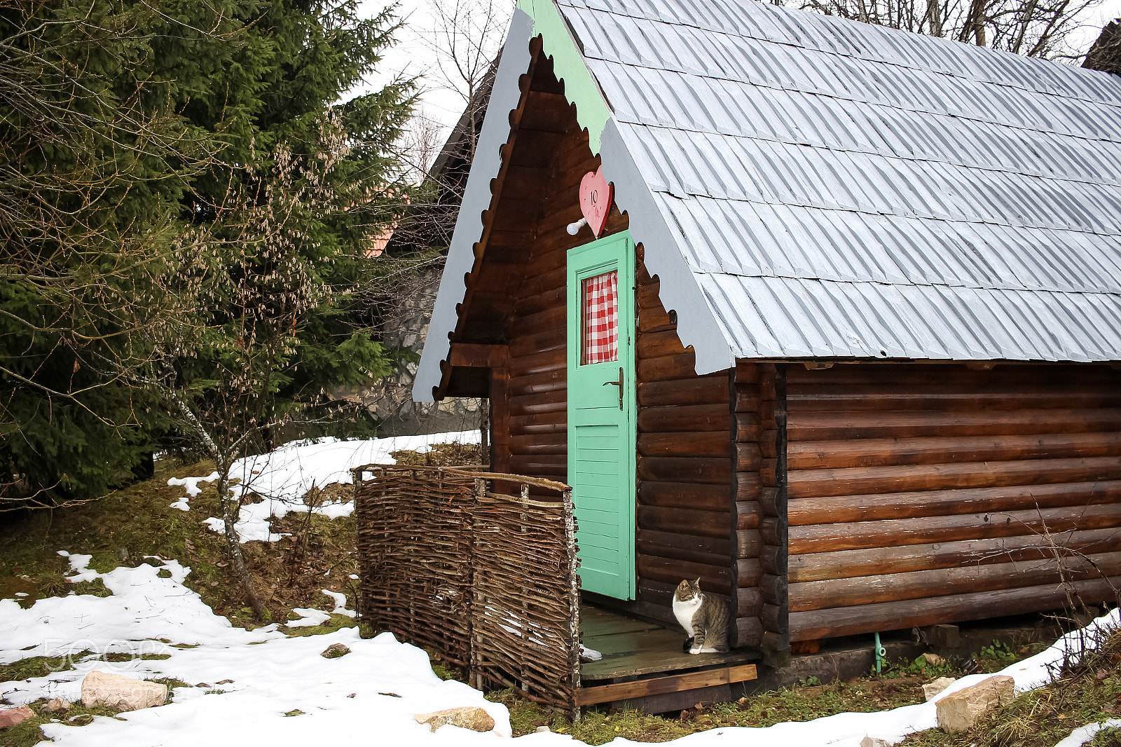 Canon EOS 700D (EOS Rebel T5i / EOS Kiss X7i) sample photo. Winter trip to north photography