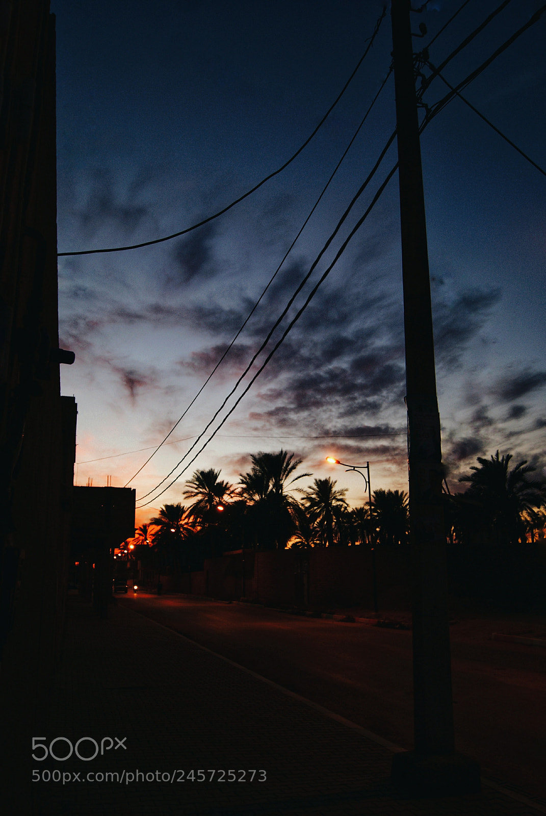 Sony Alpha DSLR-A230 sample photo. Untitled photography