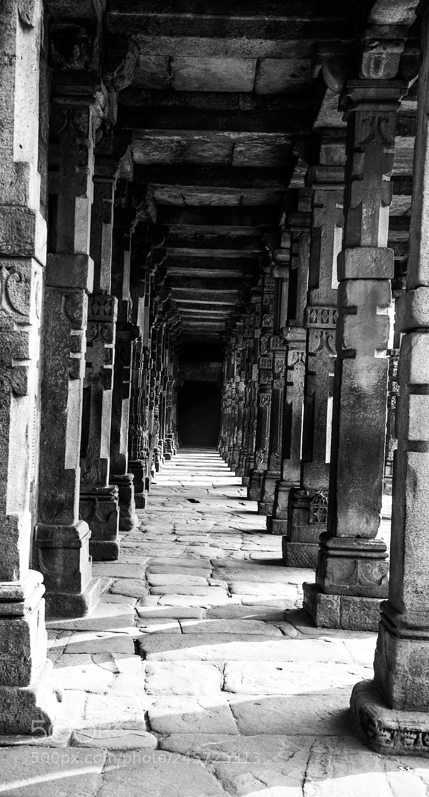 Nikon D610 sample photo. The royal pathway photography