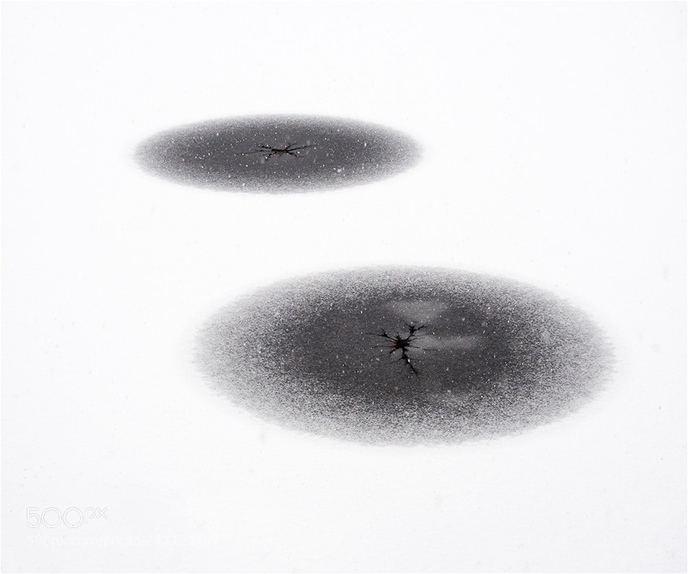 Olympus OM-D E-M10 II sample photo. Lake circles photography