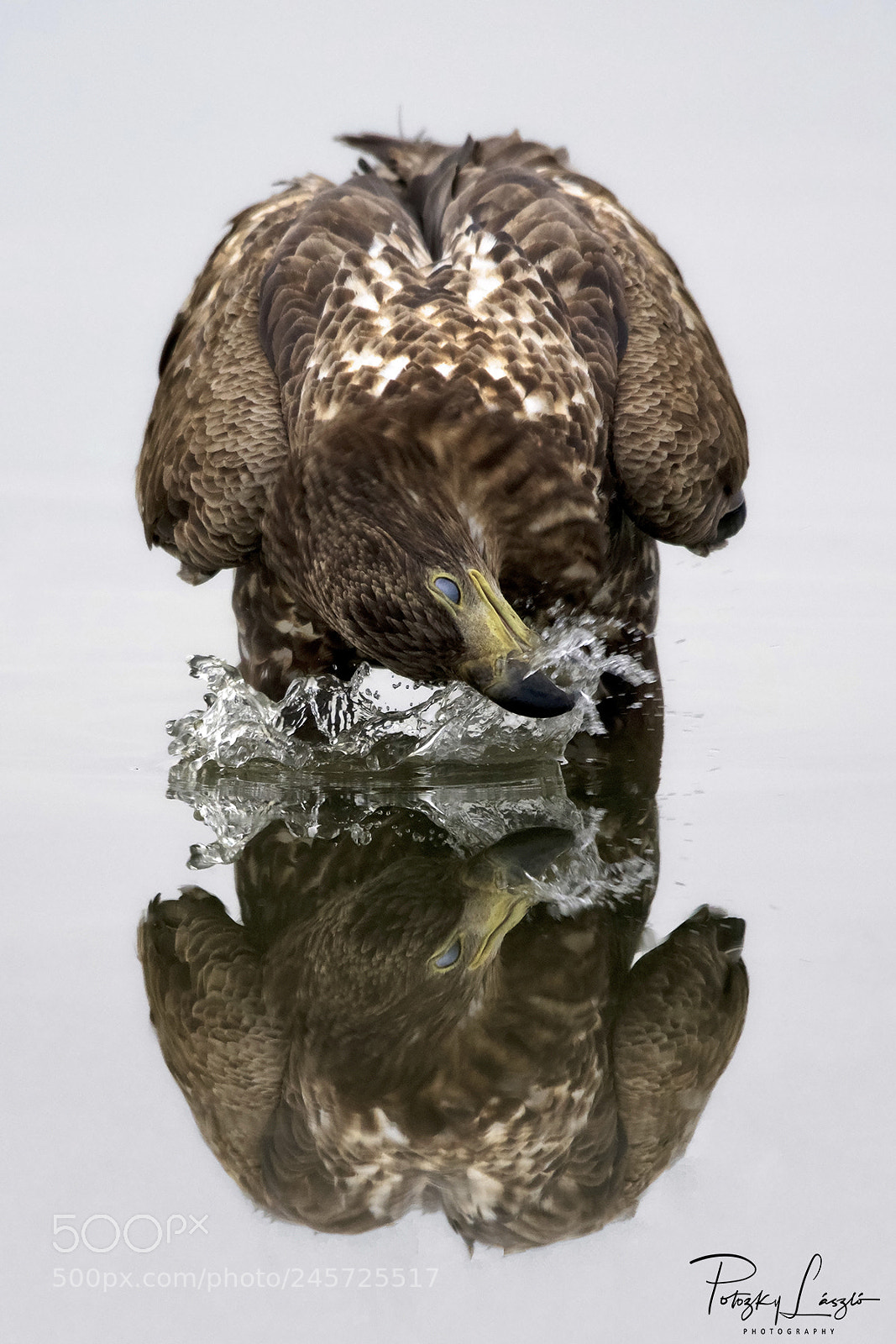 Nikon D850 sample photo. Mirror photography