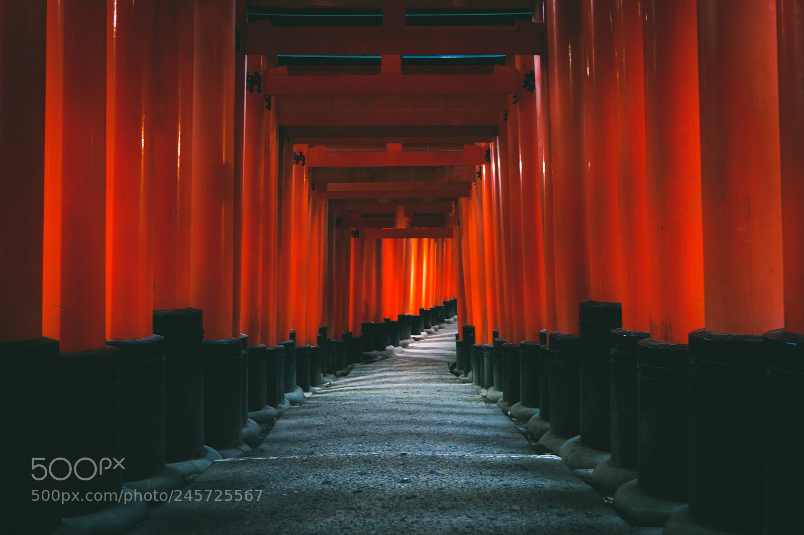 Nikon D7200 sample photo. Crimson gates of fushimi-inari photography
