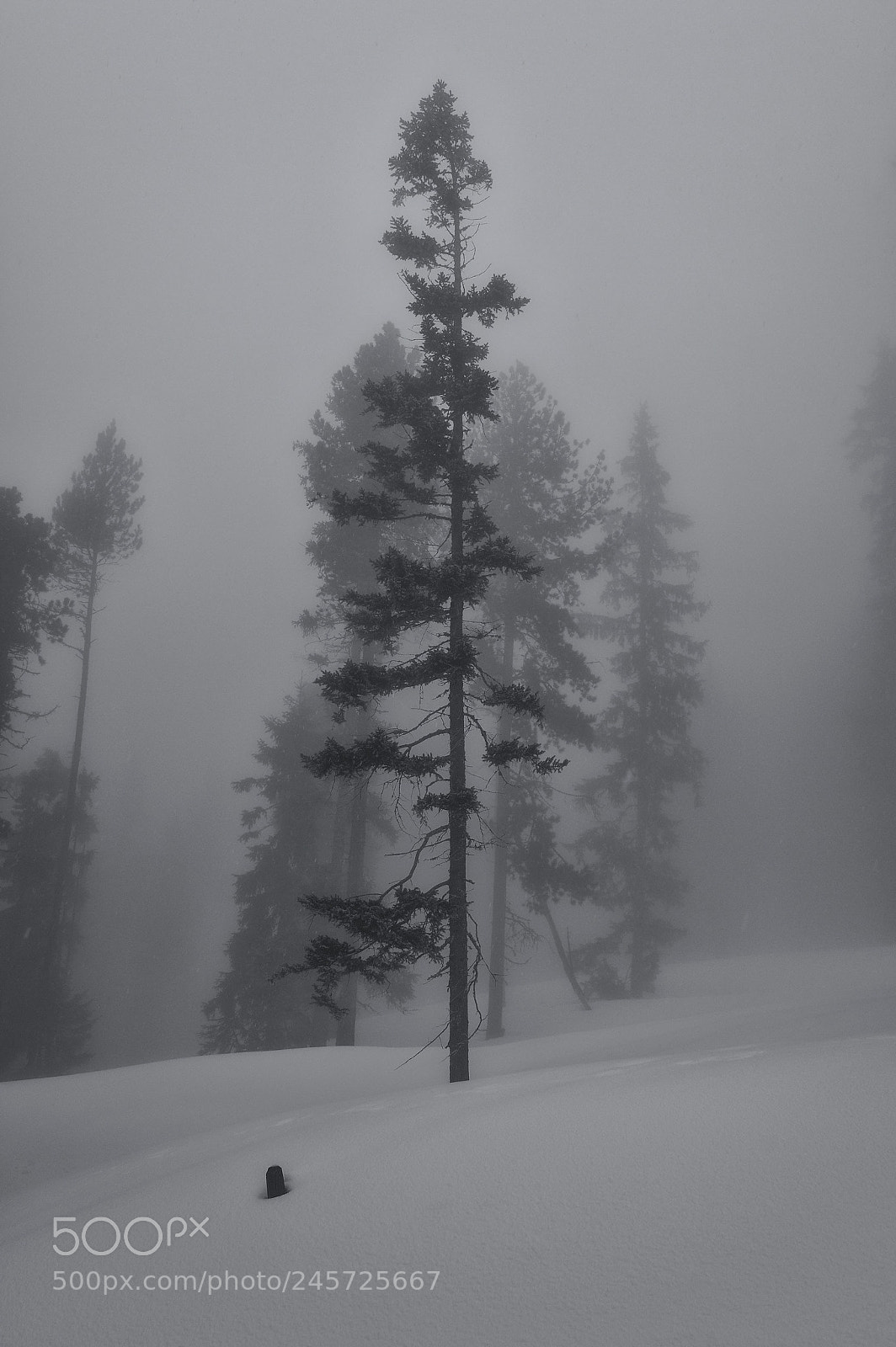 Pentax K-3 II sample photo. Misty mountain photography