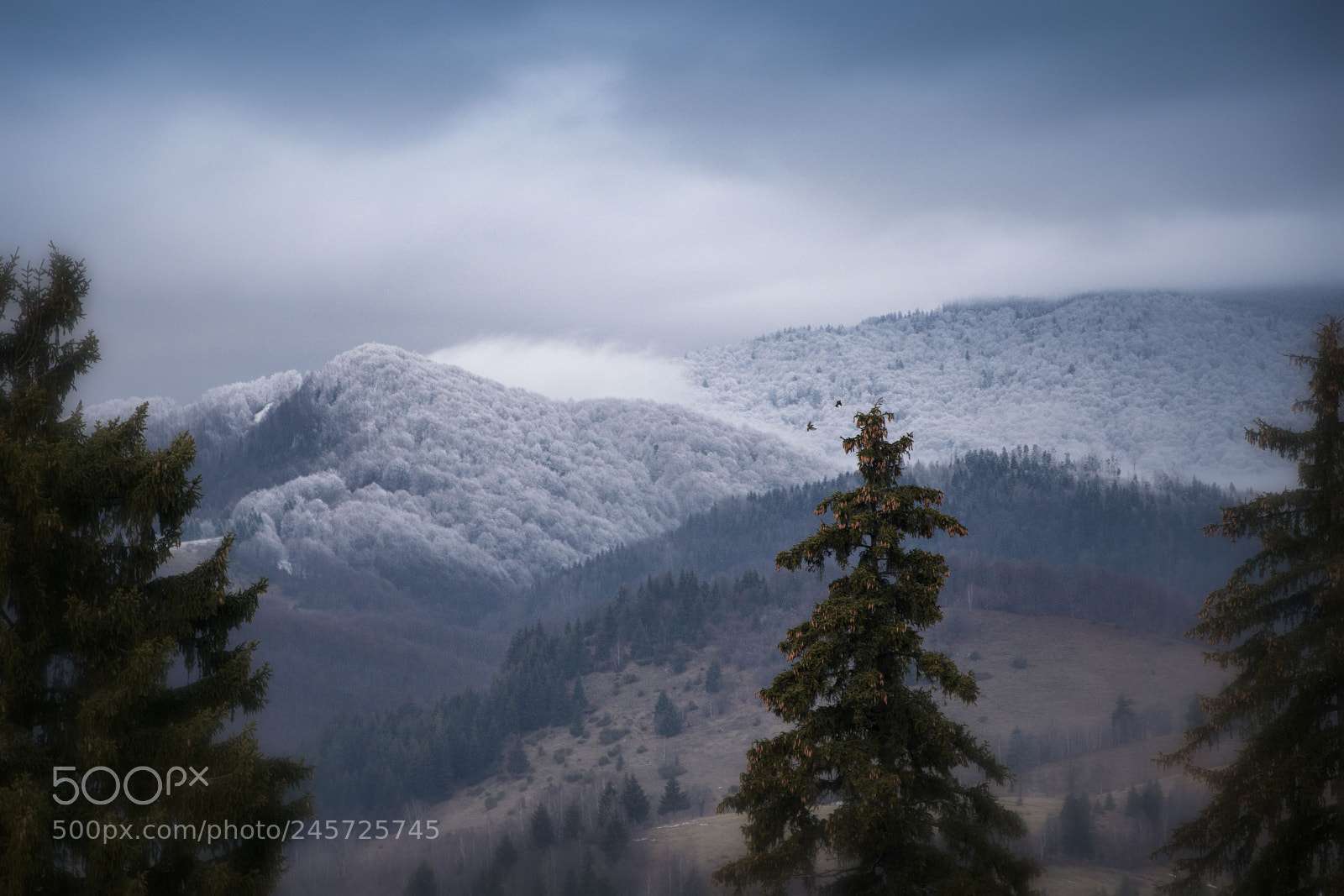 Nikon D800 sample photo. Off winter photography