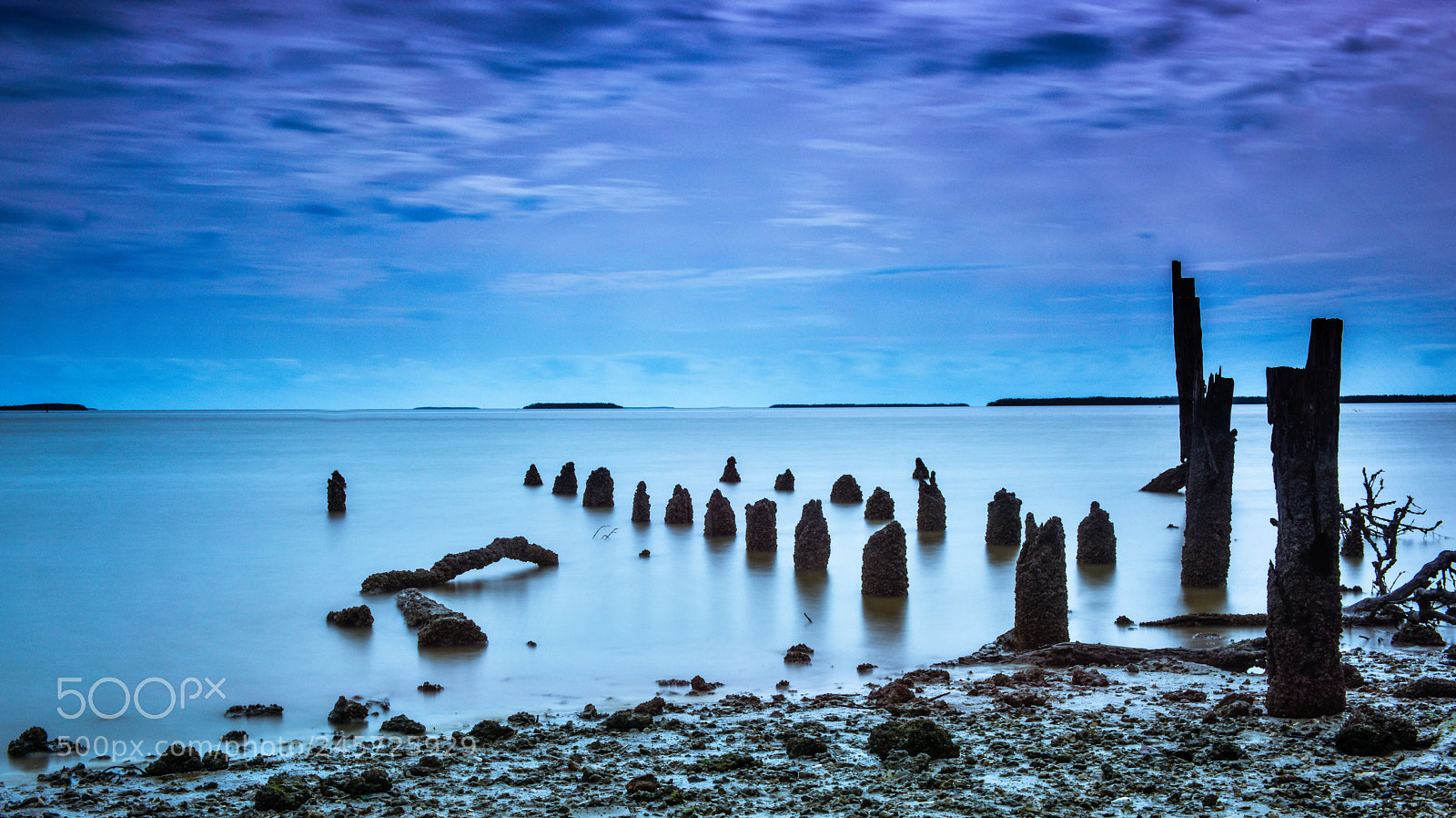 Nikon D810 sample photo. Blue solitude photography