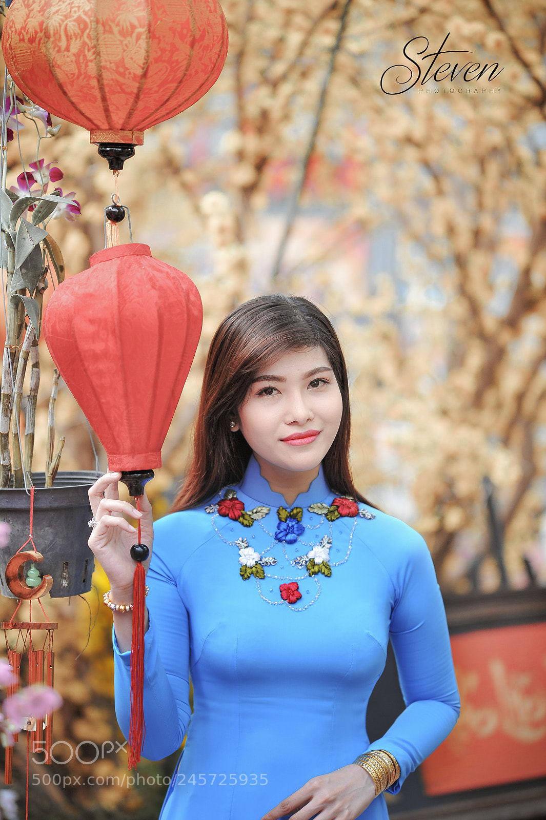 Nikon D700 sample photo. Vietname girl with traditional photography