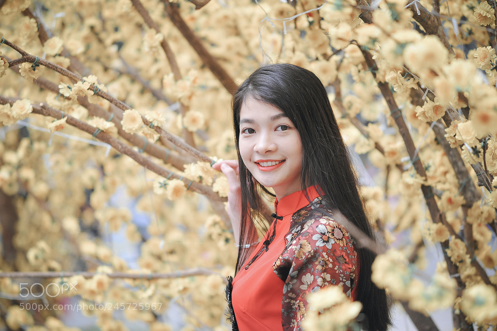 Nikon D700 sample photo. Spring has come photography